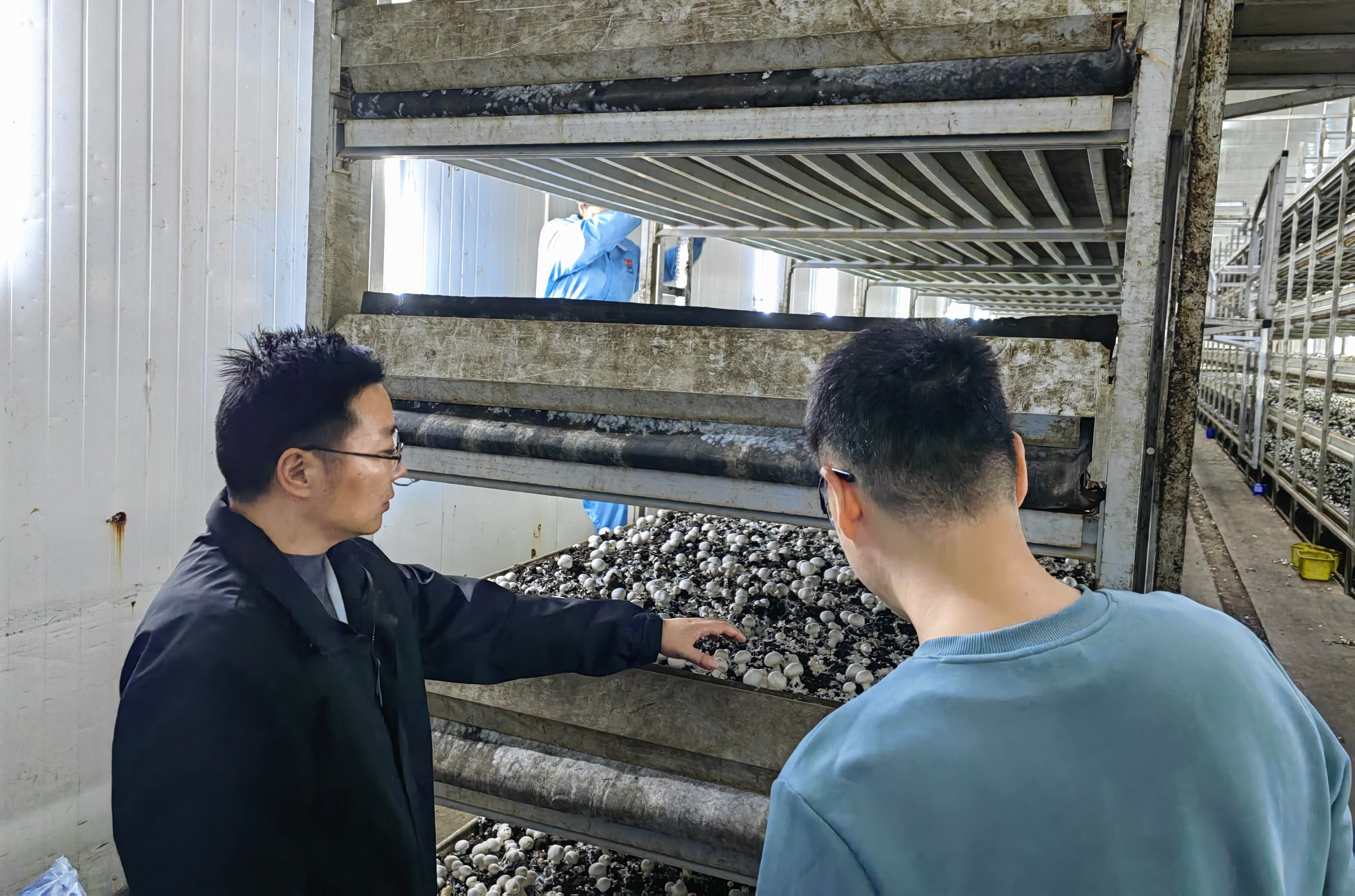 QQ图片20251103085927